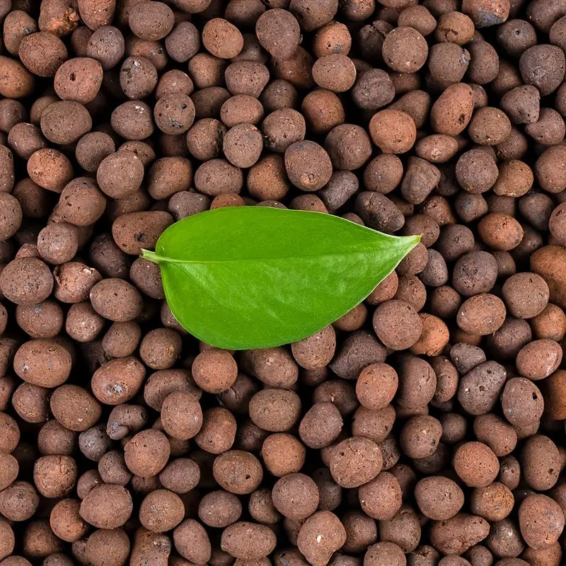 Clay Pebble Growing - 1LB Kamienie gliniane wielokrotnego użytku do