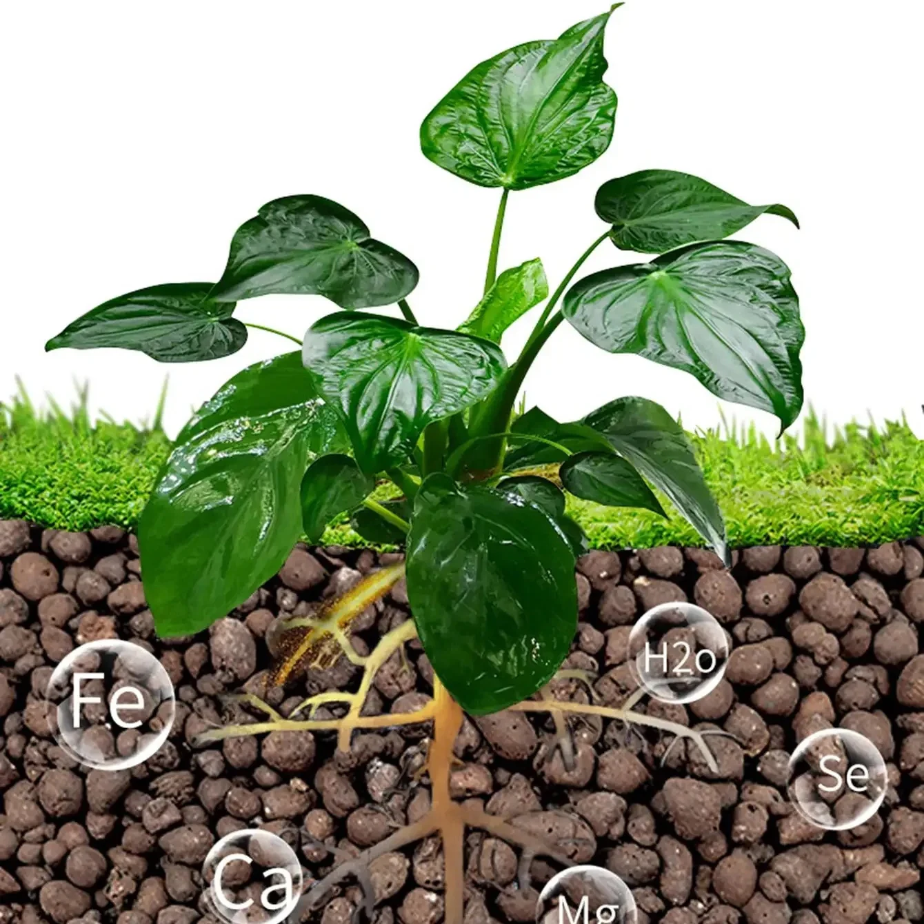 500g/opakowanie Kulki Leca, żw – Clay Pebble Growing recenzja i cena