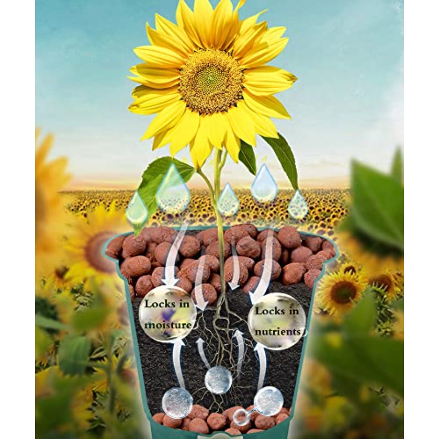 Kamienie gliniane Voulosimi, k – Clay Pebble Growing recenzja i cena