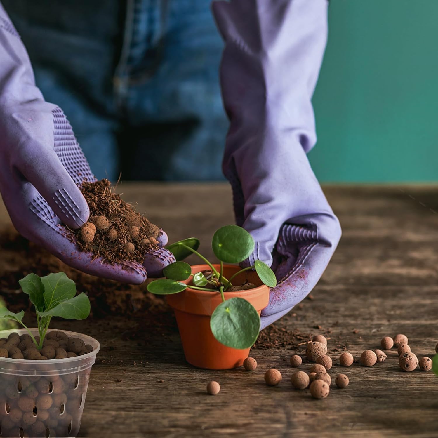 2L/1L Organiczne kulki z gliny – Clay Pebble Growing recenzja i cena