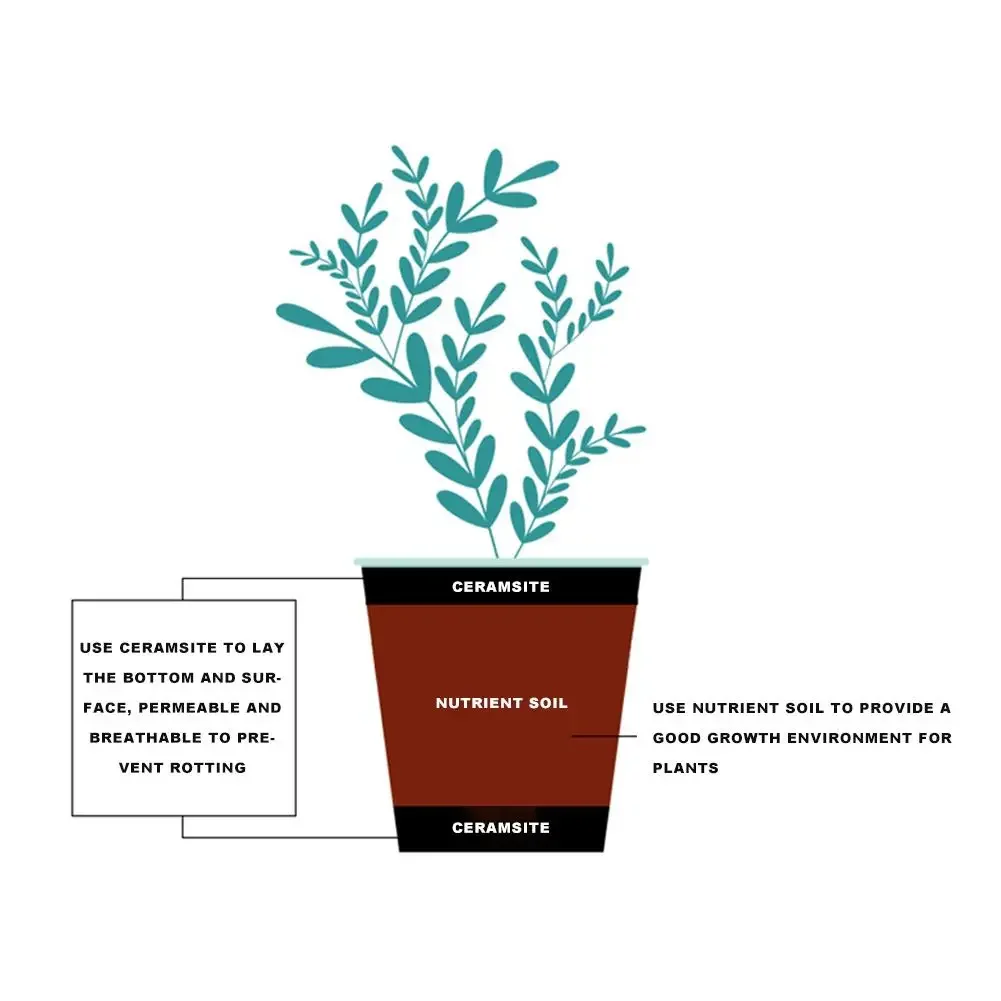 1L Naturalne kamyki z gliny ek – Clay Pebble Growing recenzja i cena