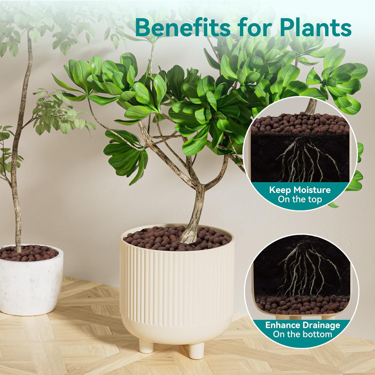 100/200G Glinkowe kuleczki do  – Clay Pebble Growing recenzja i cena