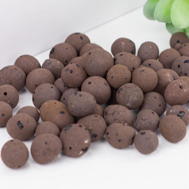 500g organiczne światło cerami – Clay Pebble Growing recenzja i cena